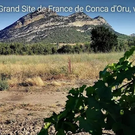 Fiore Di Sole Oletta (Corsica)