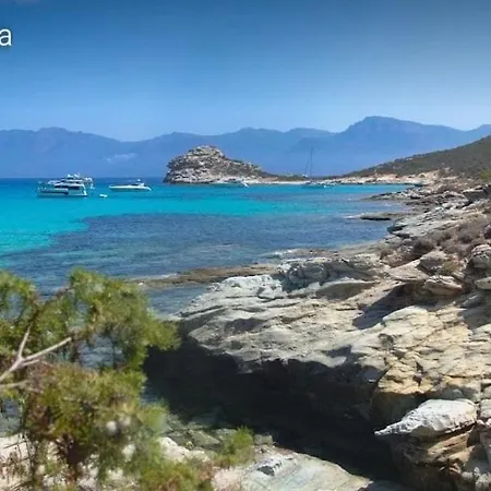 Fiore Di Sole * Oletta (Corsica)