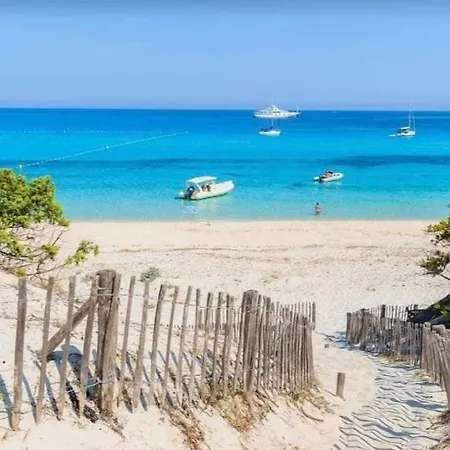 Fiore Di Sole * Oletta (Corsica)